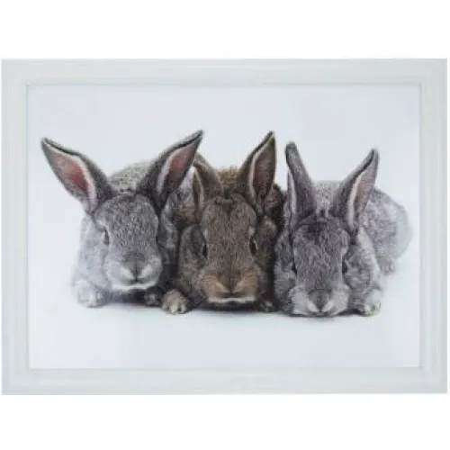 Kniedienblad met kussen eronder Laptray schootkussen 3 Konijnen